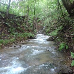 大増水の渓で苦戦